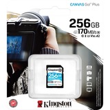 Kingston Canvas Go! Plus 256 GB SDXC, Speicherkarte schwarz, UHS-I U3, Class 10, V30