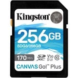Kingston Canvas Go! Plus 256 GB SDXC, Speicherkarte schwarz, UHS-I U3, Class 10, V30