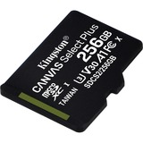 Kingston Canvas Select Plus 256 GB microSDXC, Speicherkarte schwarz, UHS-I U3, Class 10, V30, A1