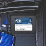 Patriot P210 1 TB, SSD schwarz, SATA 6 Gb/s, 2,5"