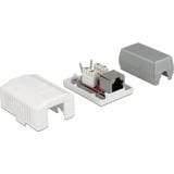 DeLOCK RJ-45 Anschlussdose 1 Port Cat.6a LSA weiß