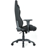 AKRacing Core EX-Wide SE, Gaming-Stuhl schwarz/carbon