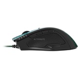 Sharkoon Drakonia Gaming Mouse, Gaming-Maus grün/schwarz, Retail
