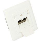 Good Connections Unterputz-Netzwerkdose Cat. 6A, 2xRJ45, Wanddose weiß, perlweiß RAL1013