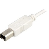 Sharkoon Kabel USB 2.0 weiß, 0,5 Meter