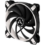Arctic BioniX F140 140x140x27, Gehäuselüfter schwarz/weiß