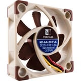 Noctua NF-A4x10 FLX, Gehäuselüfter braun/weiß, 40 mm