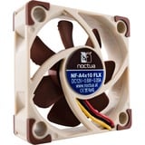 Noctua NF-A4x10 FLX, Gehäuselüfter braun/weiß