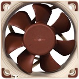 Noctua NF-A6x25 FLX, Gehäuselüfter braun/weiß