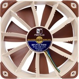 Noctua NF-F12 PWM, Gehäuselüfter hellbraun, Retail