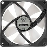 Scythe Kaze Flex 92 PWM RGB, Gehäuselüfter schwarz, 92 mm