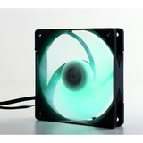 Scythe Kaze Flex PWM RGB 1200 120x120x27, Gehäuselüfter 