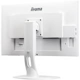 iiyama XUB2792QSU-W1, LED-Monitor 68.5 cm(27 Zoll), weiß, HDMI, DVI, DisplayPort
