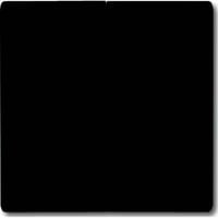 4011395873304 - BJ UPWG Allwetter Wippe Serien 2105-35 anthrazit