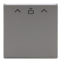 Busch-Jaeger Zentrale Schalter Cardschalter Radiofrequenz-Identifikation, Abdeckung edelstahl, Retail