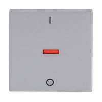 Busch-Jaeger Kontroll-Wippe mit Aufdruck Ein Aus, Schalter Retail