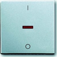 Busch-Jaeger Kontroll-Wippe mit Aufdruck Ein Aus, Schalter Retail