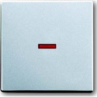 Busch-Jaeger Kontrollwippe einteilige Wippe Aus Wechselschalter Kreuzschalter Taster Retail