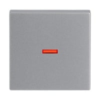 Busch-Jaeger Kontrollwippe einteilige Wippe Aus Wechselschalter Kreuzschalter Taster Retail