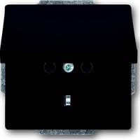 Busch-Jaeger Steckdose mit Deckel CEE 7/3 Typ F anthrazit, Retail