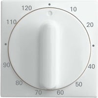 Busch-Jaeger Zentralscheibe, Rahmen weiß, Retail