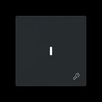 Busch-Jaeger Wippe mit Symbol Schlüssel mit transparenter Kalotte schwarz, Retail