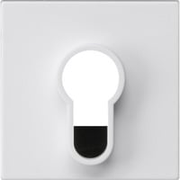 Gira Abdeckung für Schlüsselschalter und Schlüsseltaster unbedruckt seidenmatt weiß, Retail