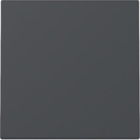 Gira Wippe einteilige Wippe für Schalter und Taster mit Klemmbefestigung aus Kunststoff anthrazit, Retail