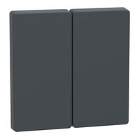 Merten Wippe zweiteilig für Serien-, Doppelwechselschalter- und Doppeltaster-Einsatz anthrazit, Retail