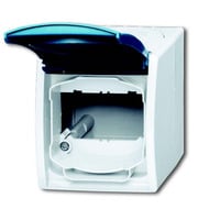 Busch-Jaeger Gehäuse für Kommunikations-Steckverbinder 1758 WN-53 grau, Retail