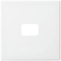 Busch-Jaeger Wippe offen für Symbol, Abdeckung Retail