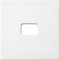 Busch-Jaeger Wippe offen für Symbol, Abdeckung Retail