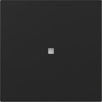 Gira Wippe gerade Kontrollfenster, Abdeckung schwarz, Retail