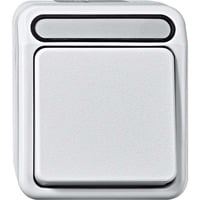 Merten Taster Schließer einpolig mit Wippe, Aufputz, Schutzart IP44, 250 Volt, 10 Ampere hellgrau, Retail