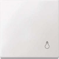 Merten Wippe Licht Wechselschalter Kreuzschalter Taster Einsatz weiß, Retail