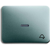 Busch-Jaeger Wippe mit Symbol Klingel titan, Retail