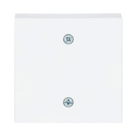 Busch-Jaeger Zentralscheibe, Abdeckung weiß, Retail