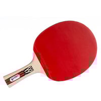 4000885544268 - Donic Schildkröt Tischtennisschläger Legends 900 FSC