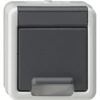 Gira Schutzkontaktsteckdose Typ F mit Klappdeckel und erhöhtem Berührungsschutz grau, Retail