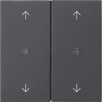 Gira Wippe zwei fach anthrazit, Retail