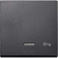 Merten Wippe Kontrollfenster anthrazit, Retail