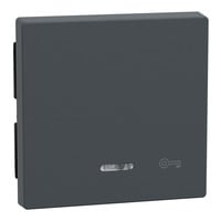 Merten Wippe Kontrollfenster anthrazit, Retail