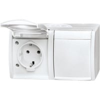 Busch-Jaeger Schutzkontakt-Steckdose zweifach mit Klappdeckel Typ 20/2 EW-54, Aufputz, IP44 weiß (matt), Retail