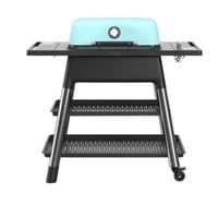 Everdure FORCE Gasgrill, Mint mint, 6,4 kW