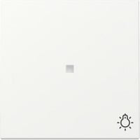 Gira Wippe Kontrollfenster und Symbol weiß, Retail