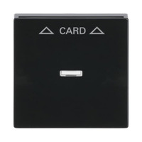 0 Zentralscheibe für Cardschalter mit Symbolik und Kalotte, Abdeckung anthrazit, Retail