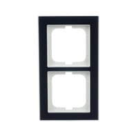 4011395298008 - Abdeckrahmen 2-fach