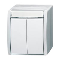 Busch-Jaeger Doppeltaster Serientaster mit zwei Schließern und Druckknopf weiß (matt), Retail