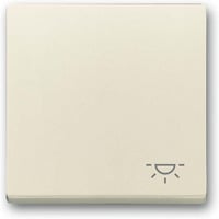 Busch-Jaeger Wippe mit Aufdruck weiß, Retail