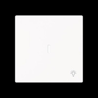 Busch-Jaeger Wippe mit Symbol Licht mit transparenter Kalotte weiß, Retail